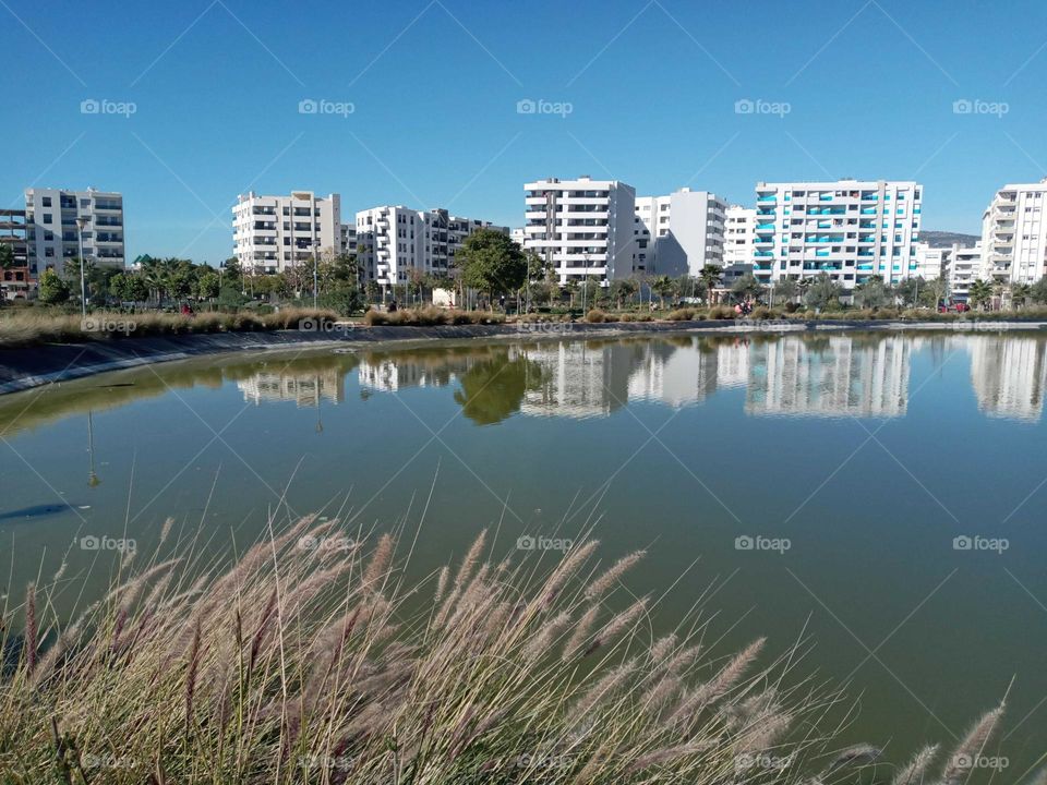 population between the nature