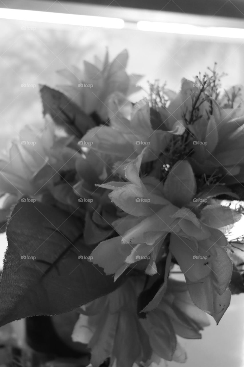 the flowers in black and white