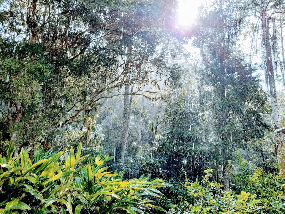 A exuberância da vida é visível, mas nada como sentir todas as sensações