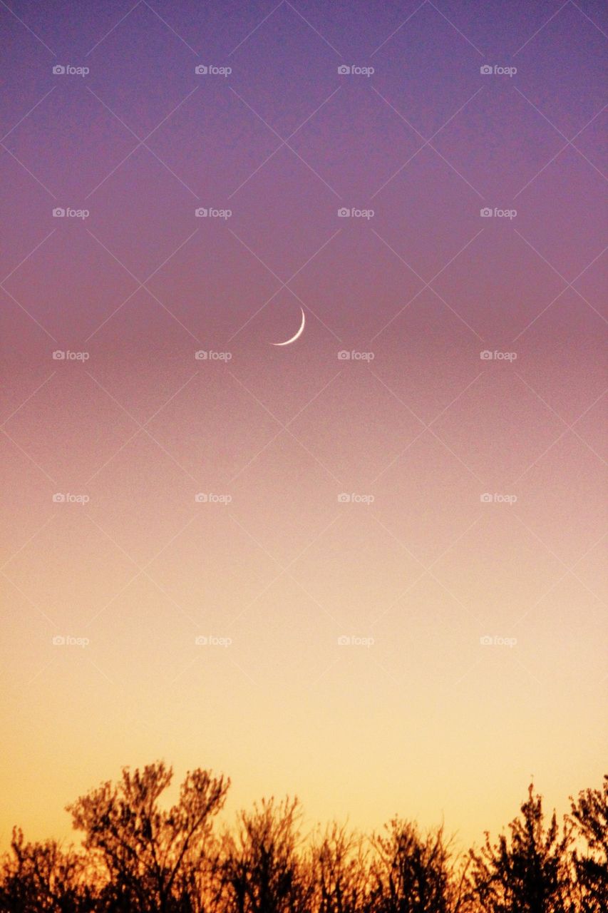 Sunset moon 