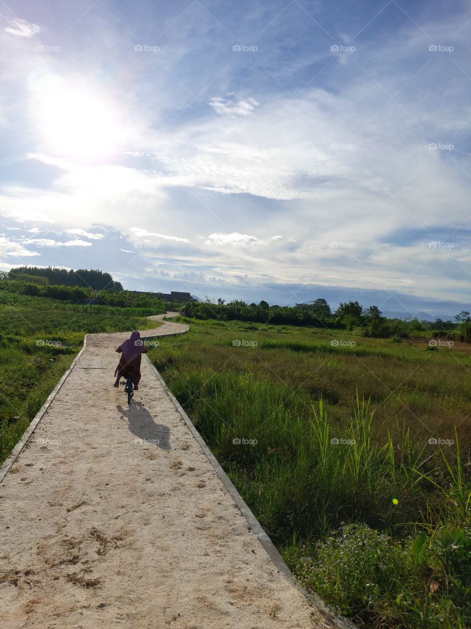 Cycling in the afternoon near the rice fields