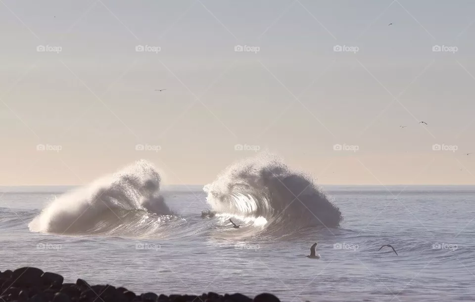 Ebb 