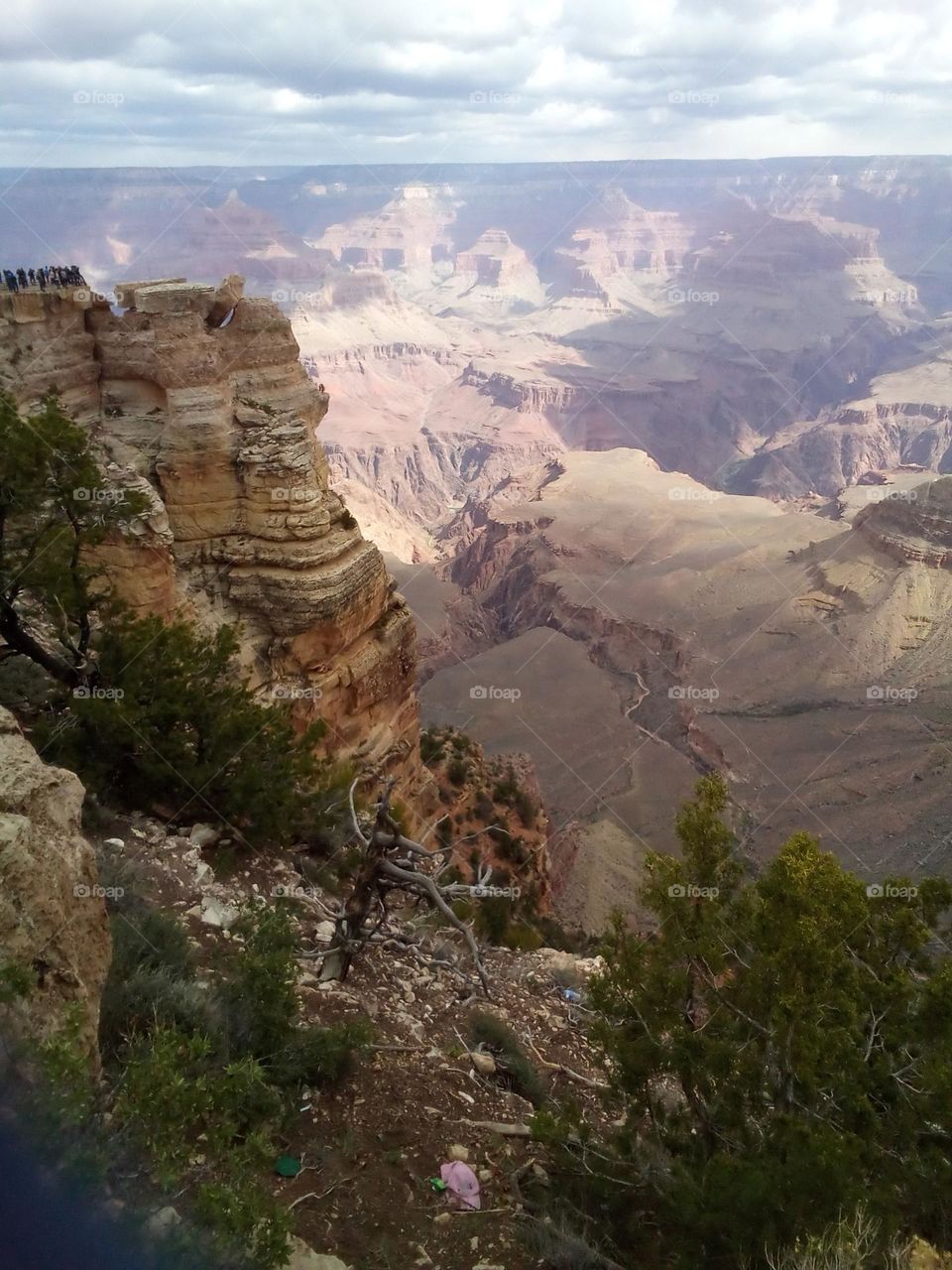 Edge of Grand Canyon  transitions from shade to sunlight. Bright color in foreground contrasts lighter color of canyon. Look 1/3 of way down in the light area. I see the face of a native American girl, looking up as if lying down?