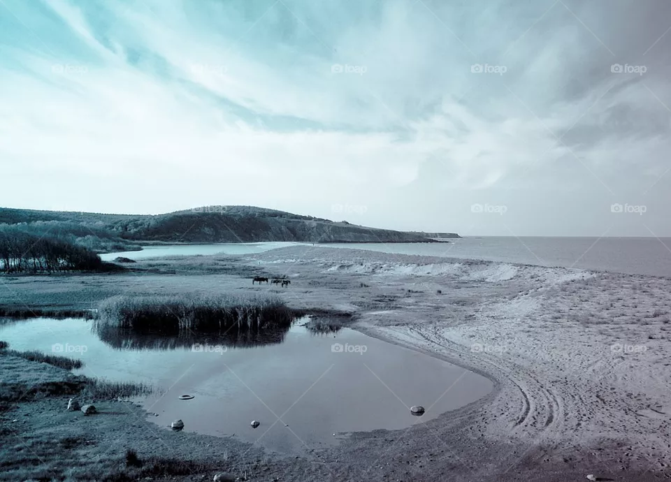 water