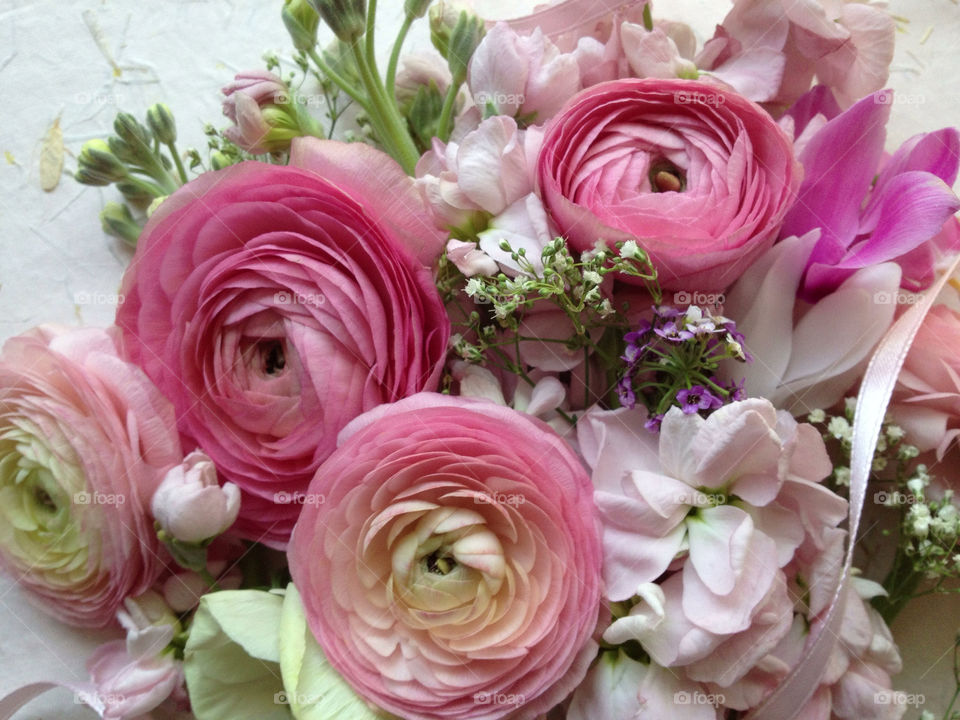 Pink spring flowers