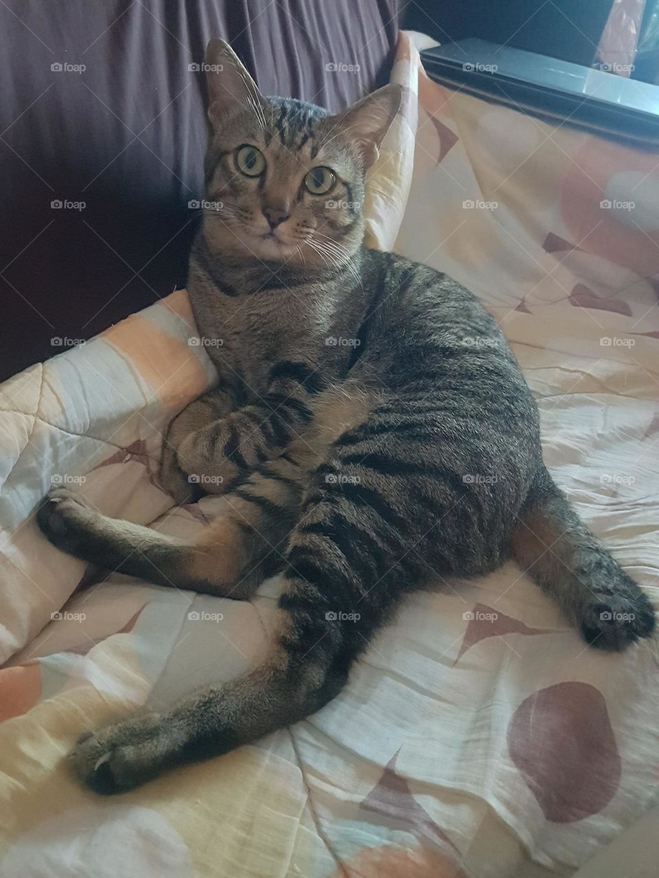 seductive and annoying