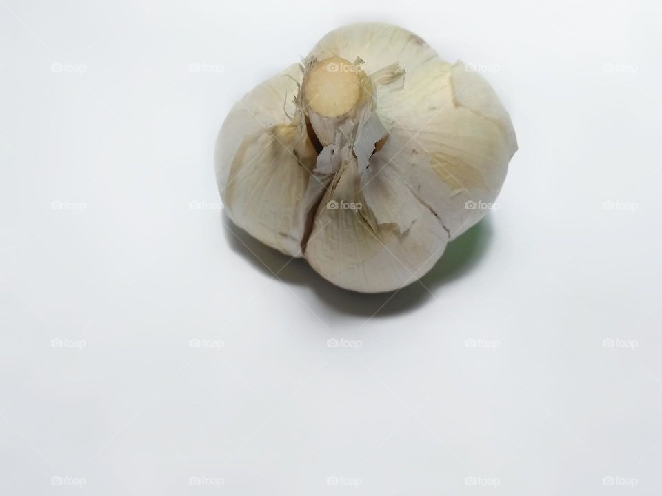 Fresh onion on white background