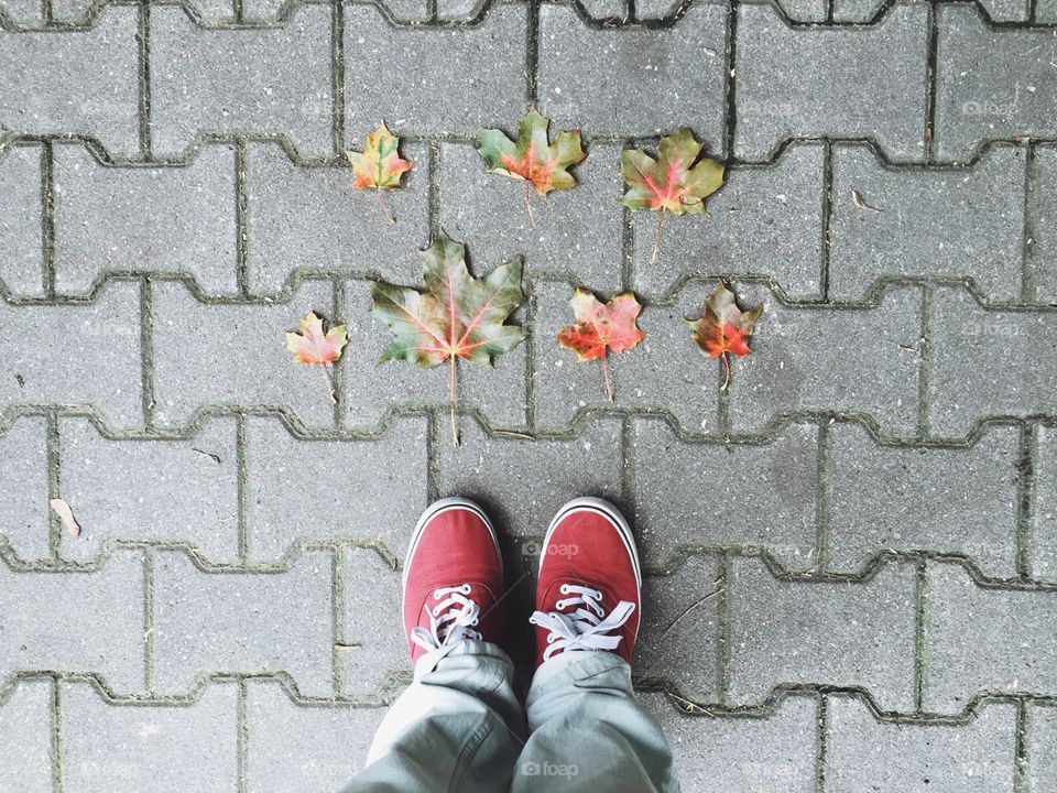 Man on street, autumn foliage. Man standing on asphalt way with autumn foliage