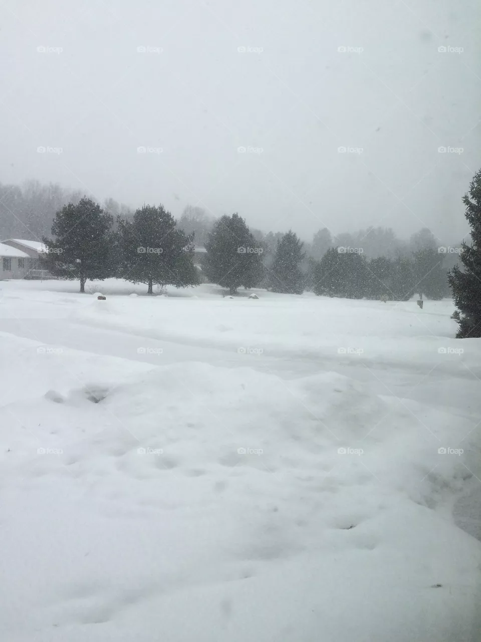 Snow 