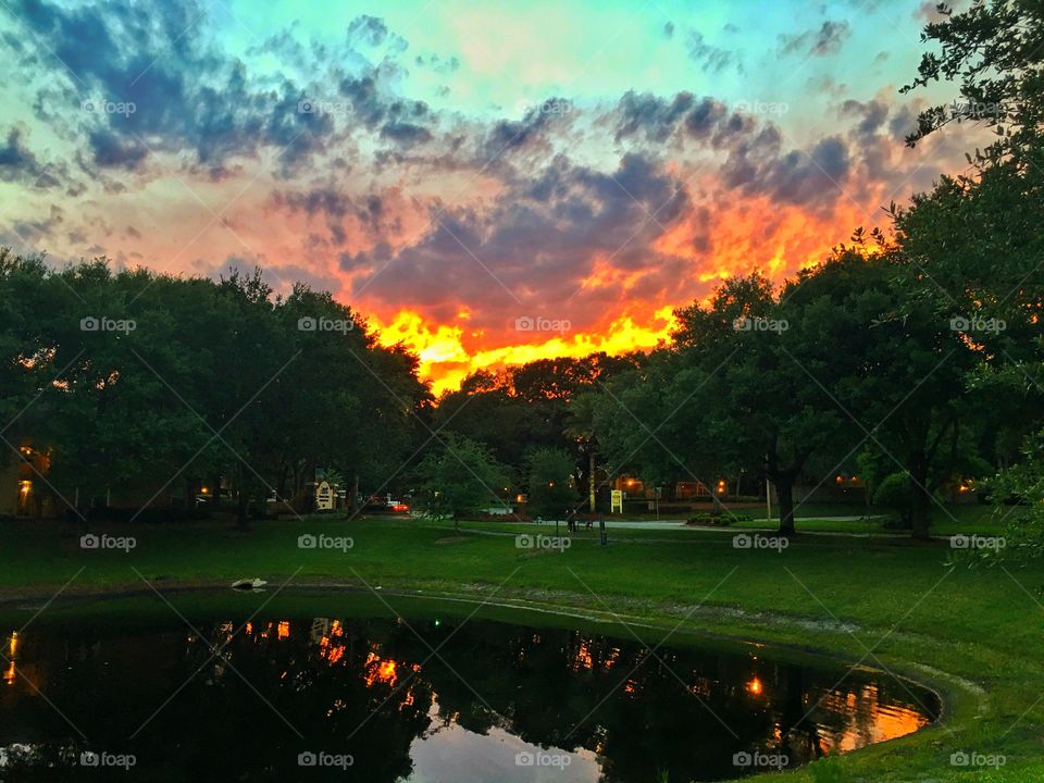 No Person, Golf, Tree, Travel, Sunset