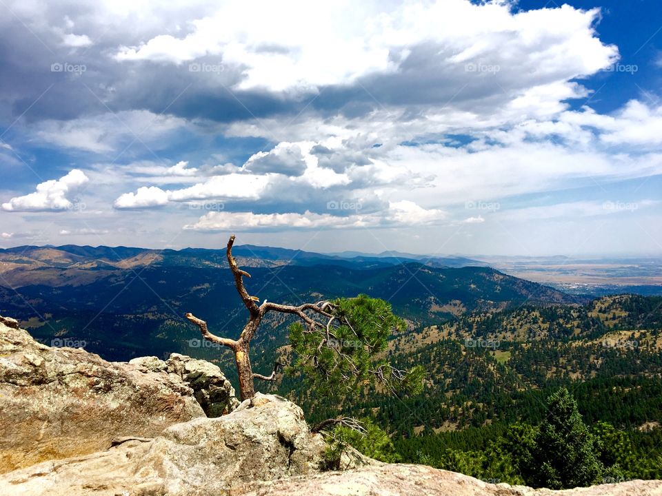 Scenic view of nature