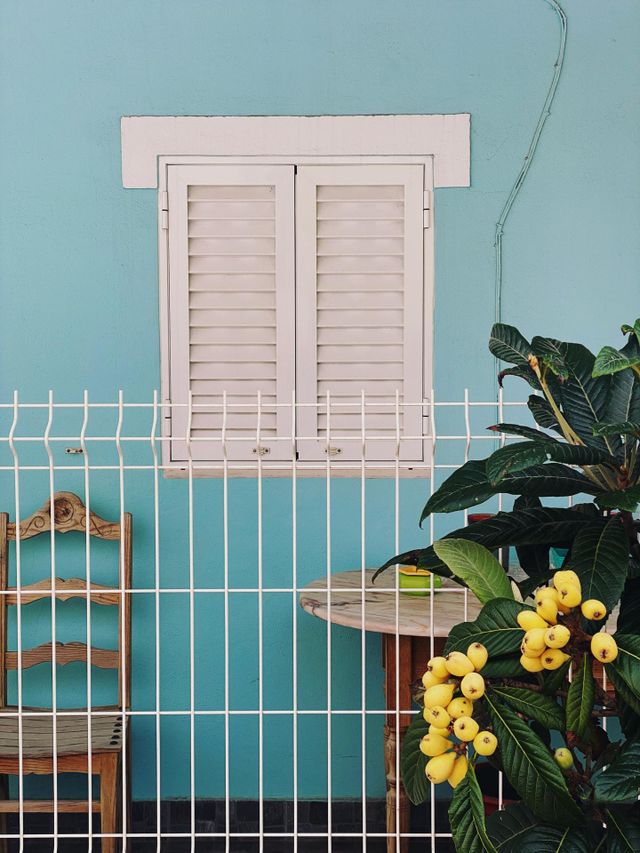 Bluegreen wall with a chair, table and flowers, behind a fence. Part of a small house in Altura, Portugal. For happier days! 
