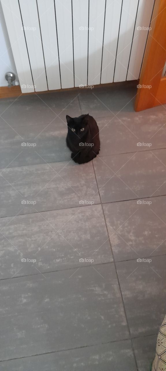 what are you looking at?