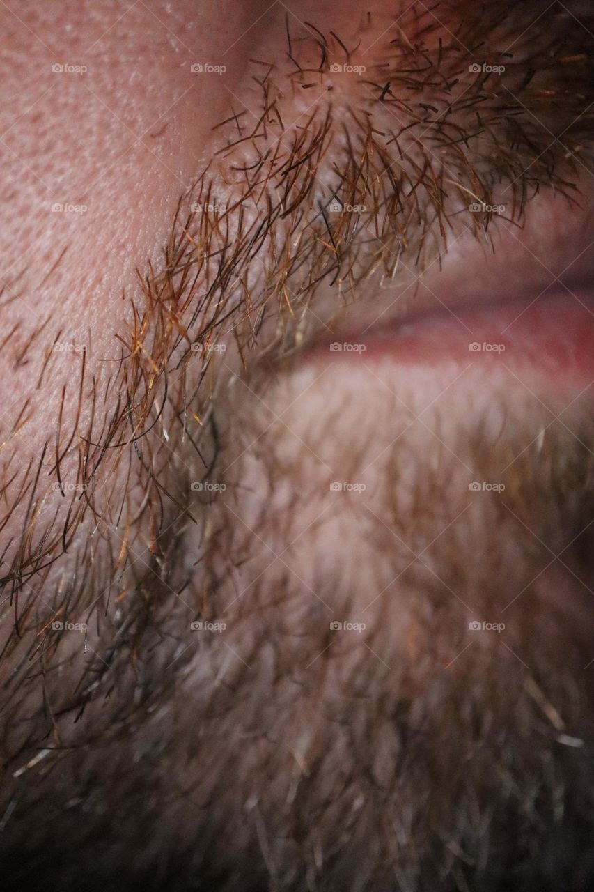 Beard close up