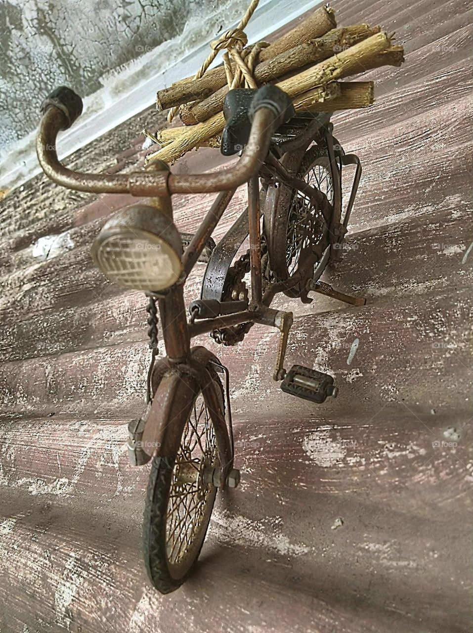 Looking for firewood