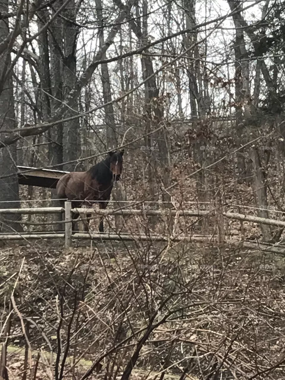 Watching me