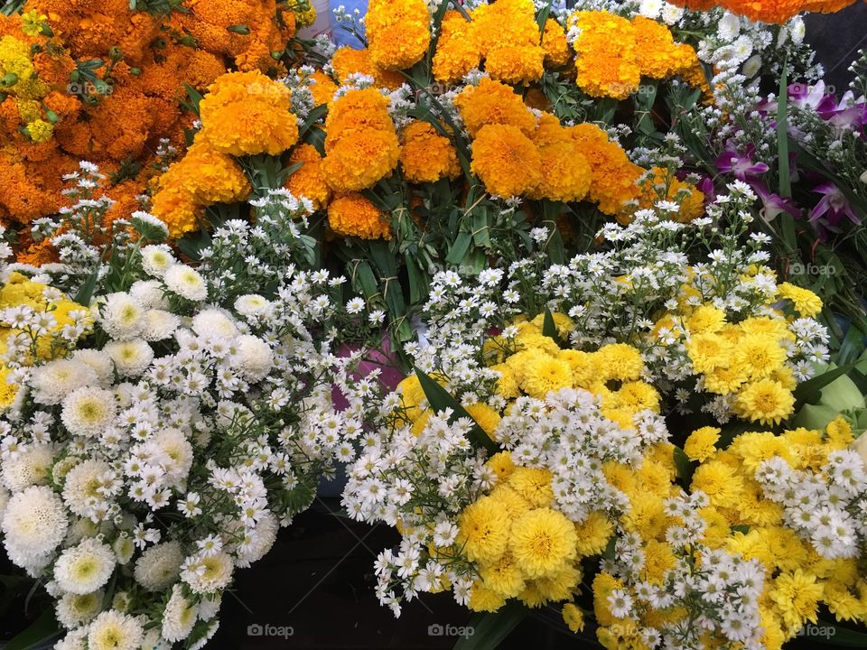 Flowers at fresh market 