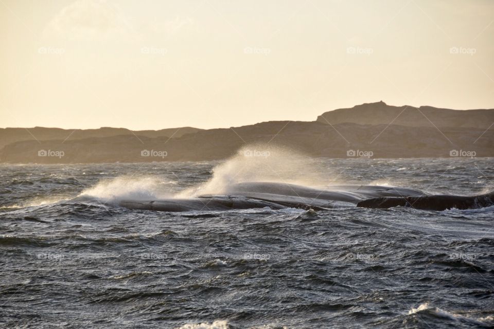 Brisk sea
