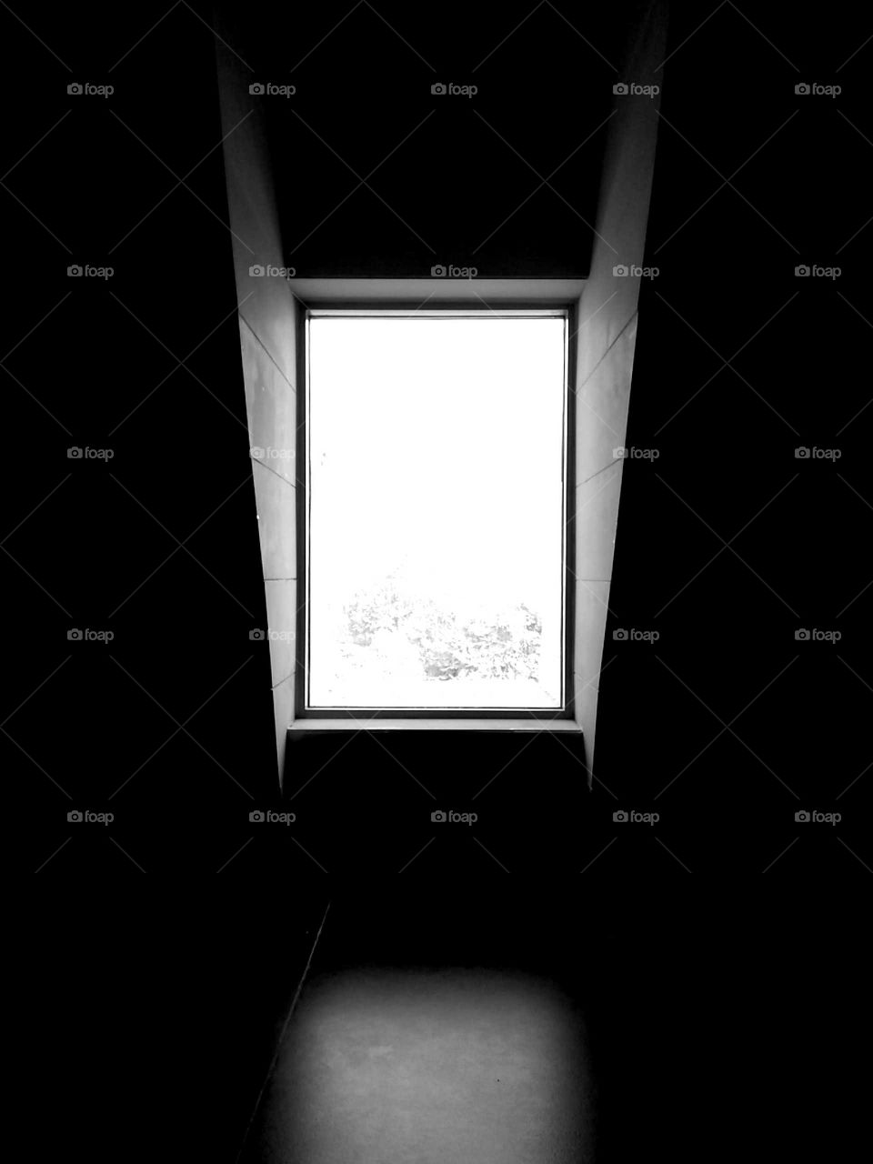 The black and white window.......