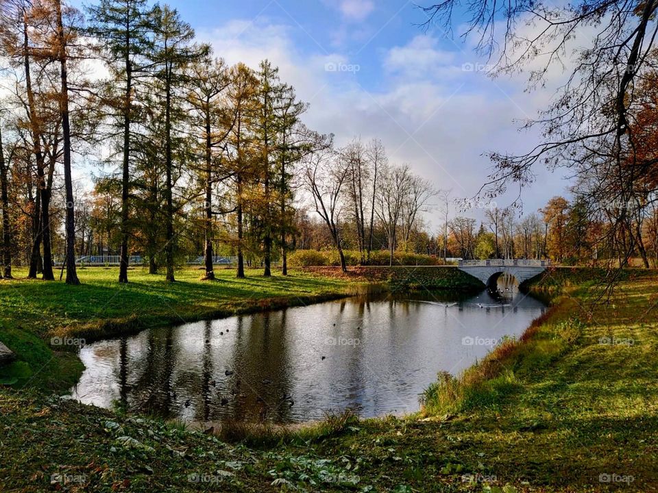 Autumn landscape 🍁🍂 Park time 🍁🍂 Season mood🍁🍂