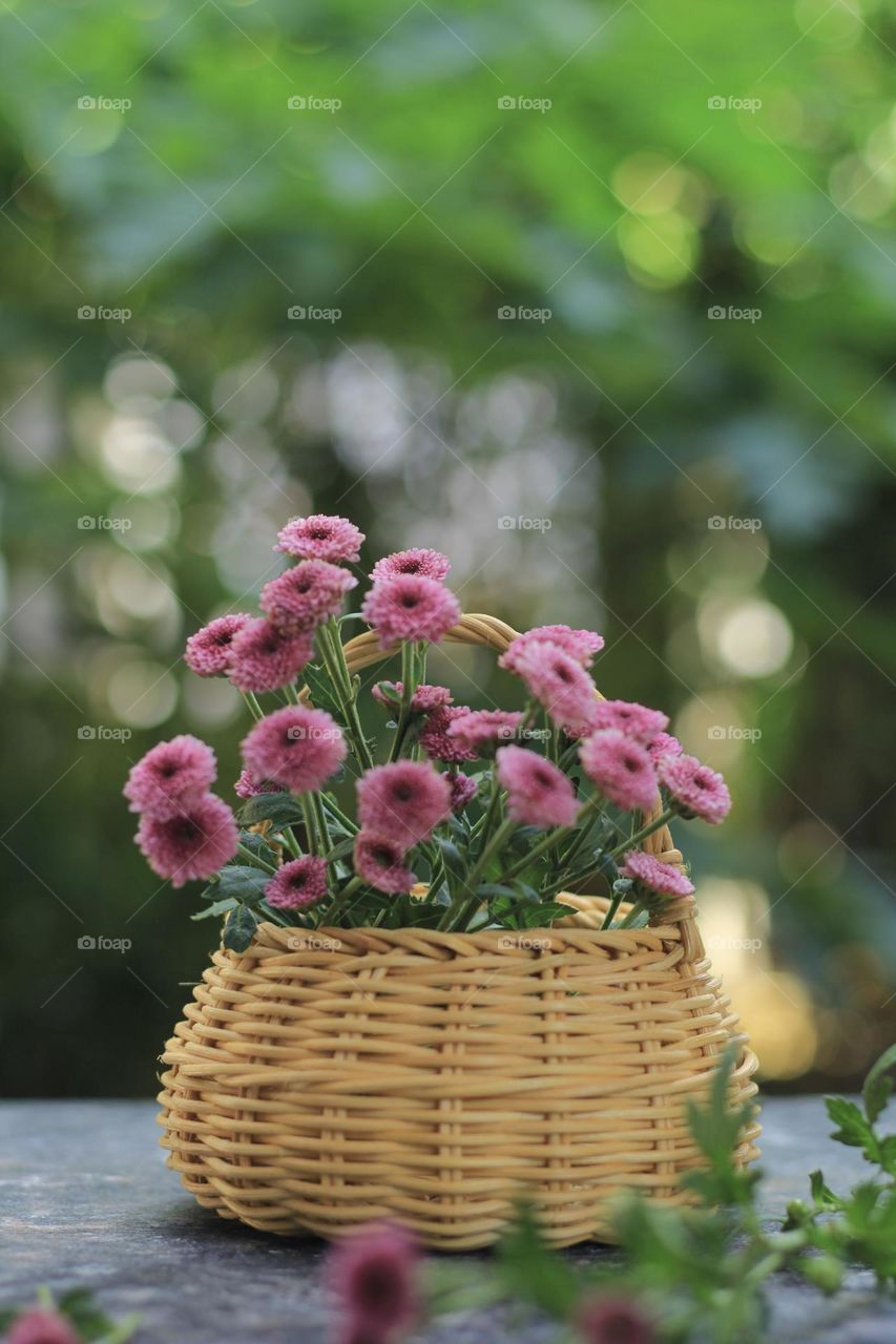Pink flowers in a rattan vase on hand