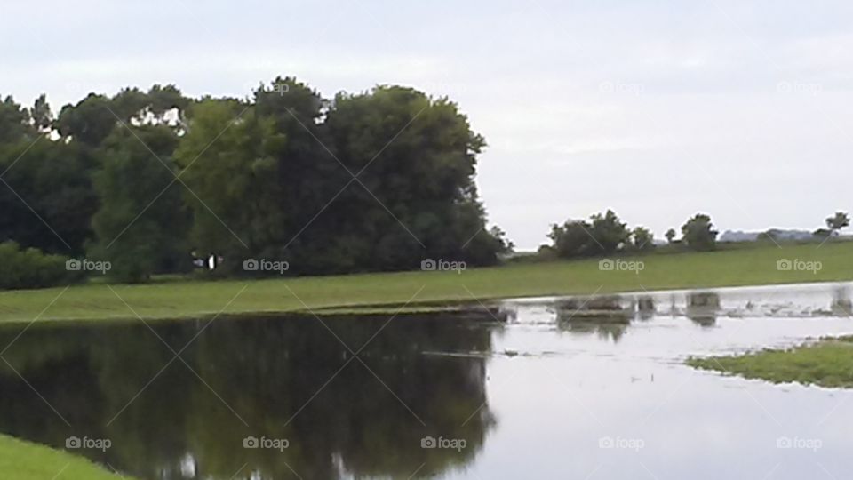 Landscape, Water, No Person, Tree, Outdoors