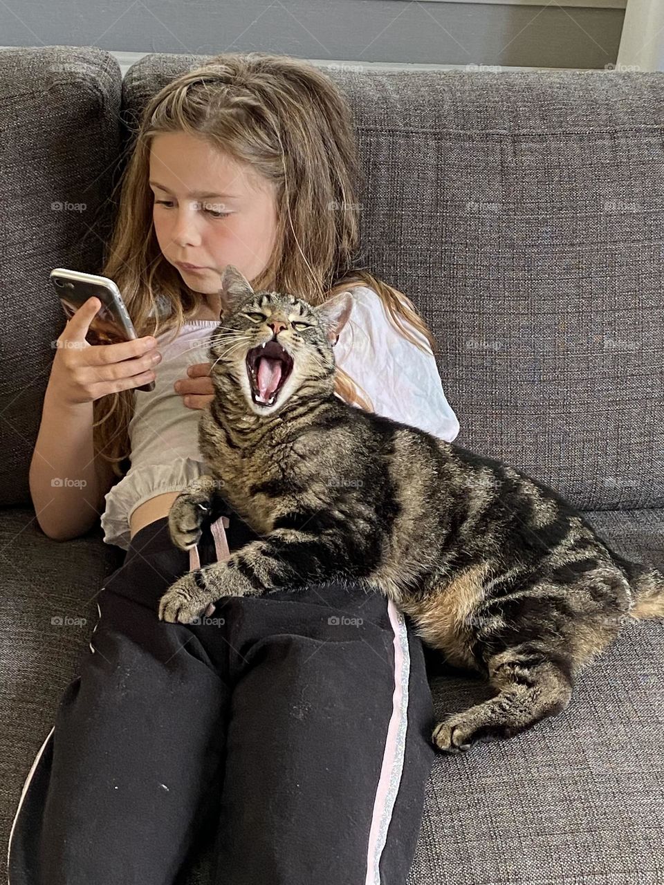 Do not touch my homan