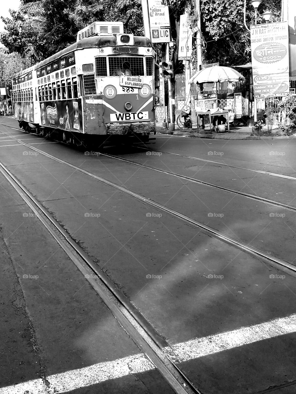 You don't stumble upon your heritage. It's there, just waiting to be explored and shared.