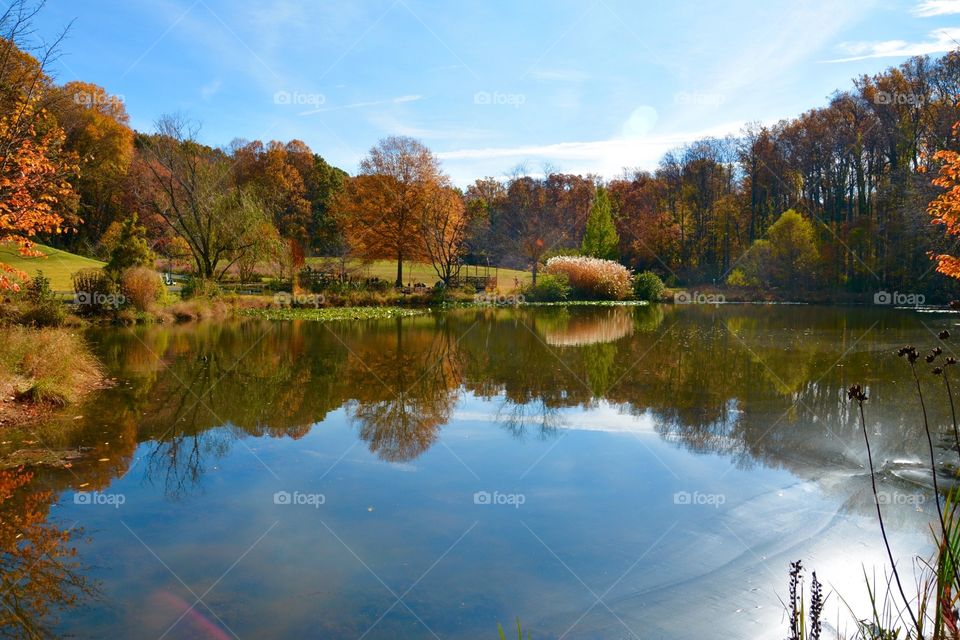 Autumn Reflection