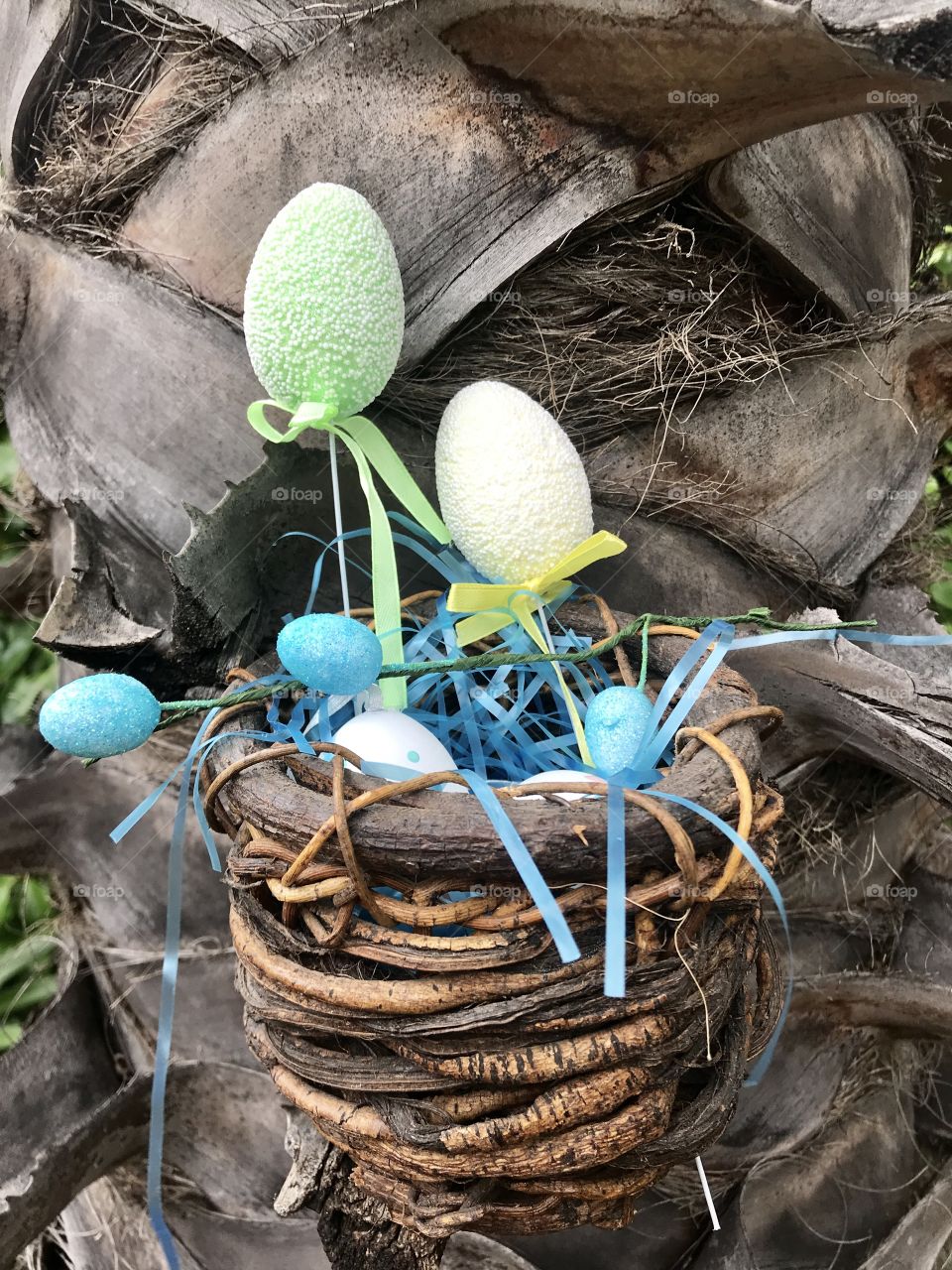Easter bird basket nest in the tree with colorful Easter eggs 