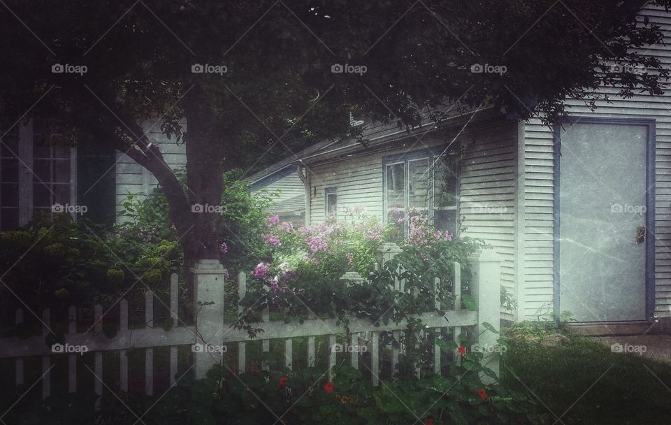 White Picket Fence