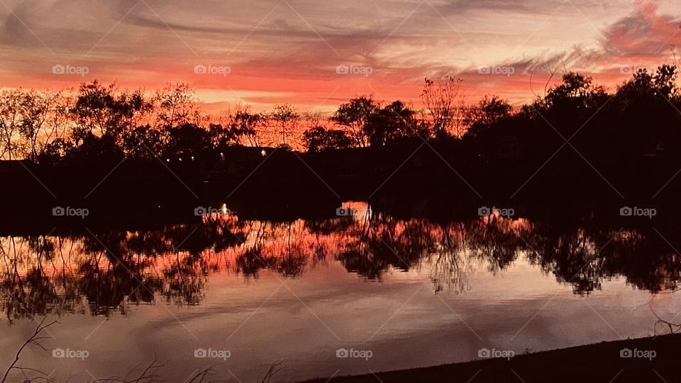 Wow this Glorious Color Explosion Silhouetted with Composure and Refections of the Evening Sunset. 