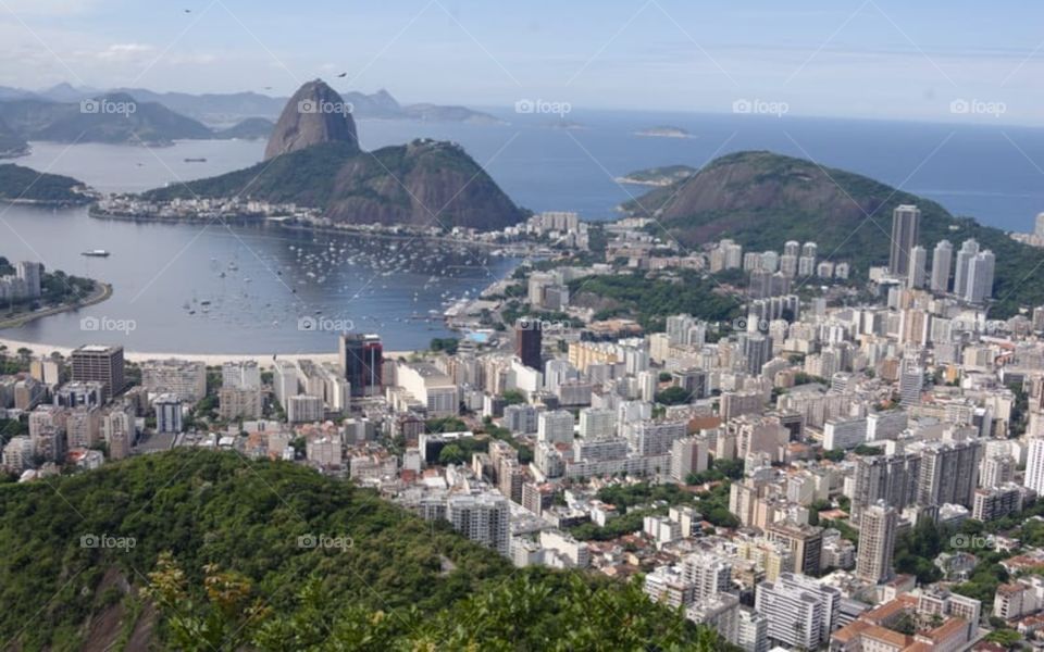 The color of this city