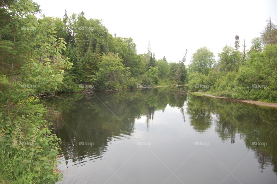 River Reflection