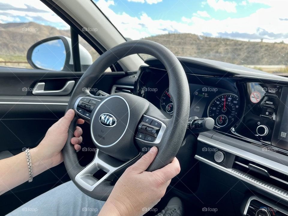Driver’s hands on the wheel 