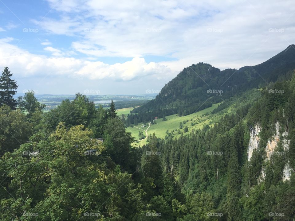 The hills are Alive!