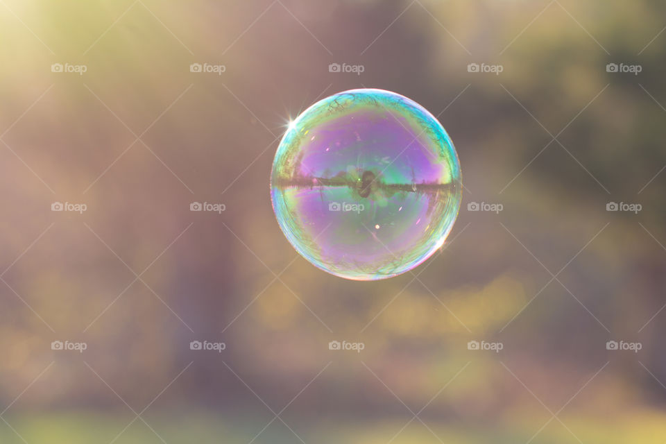 Large Single Bubble Hanging in Mid-air Backlit with Sunlight 