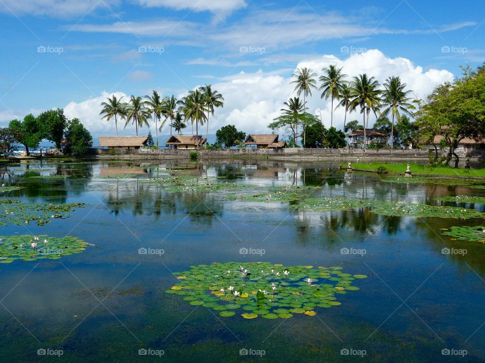 Idyllic Lake in Bali