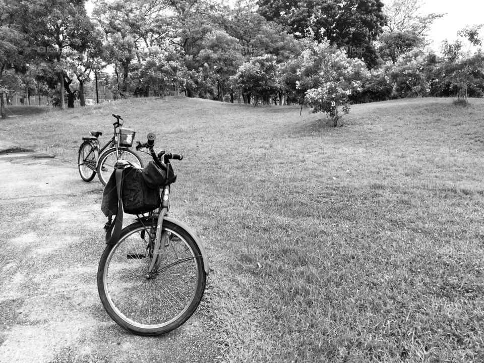 Black and white bicycles and nature background 