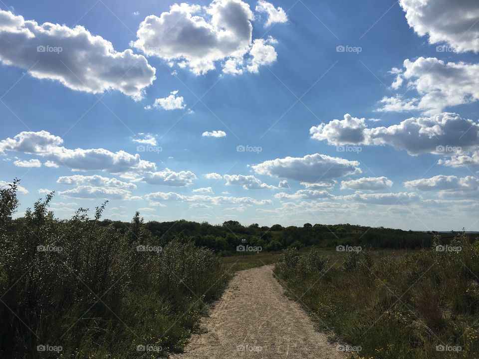 Landscape, No Person, Sky, Travel, Tree