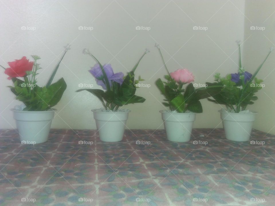 Flowers in vases