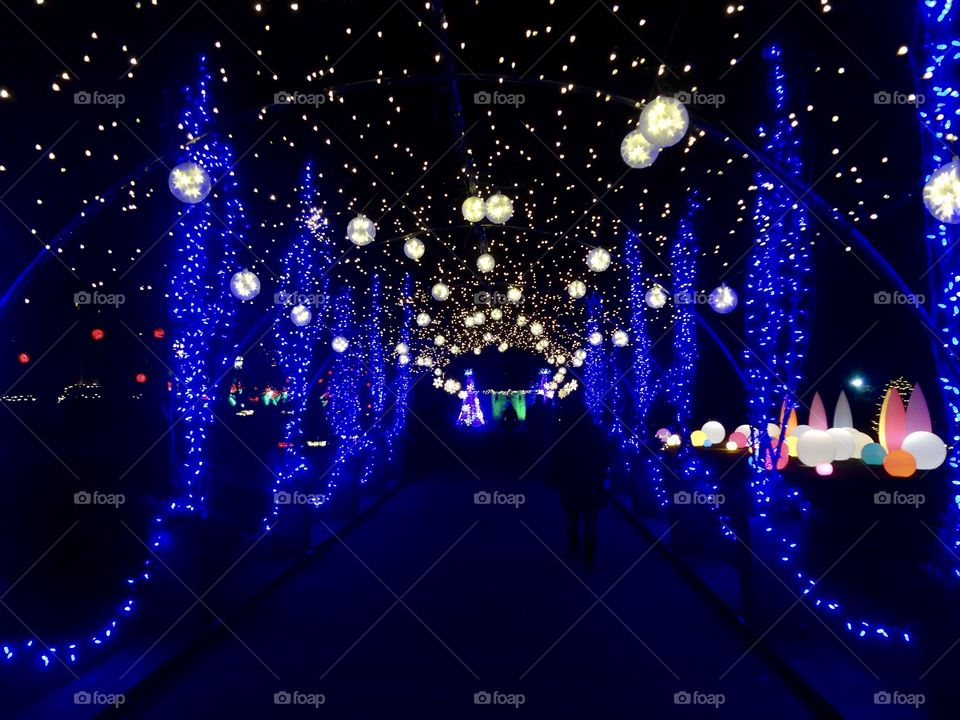 Christmas Light Walkway