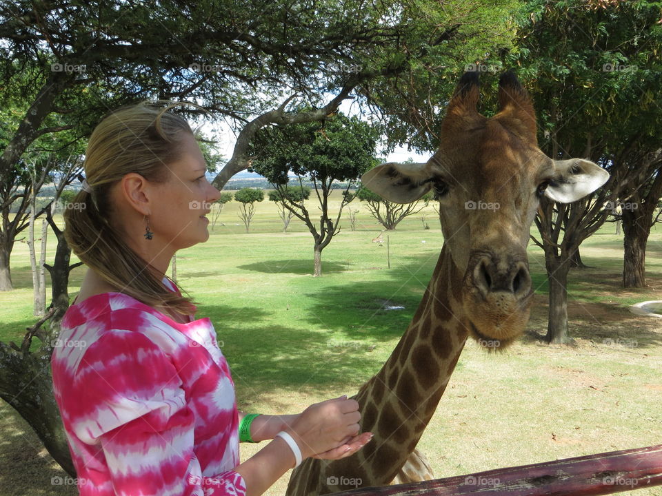 Gambit making friends 