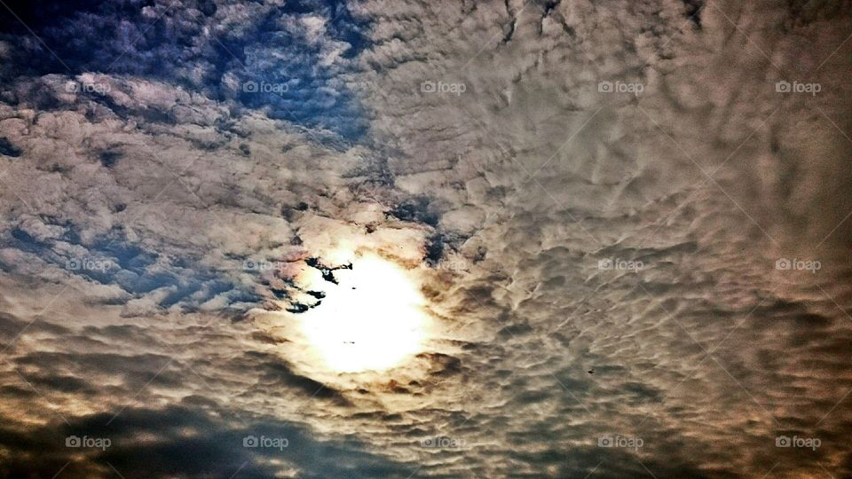 The View from The Rowing Channel,  Plovdiv