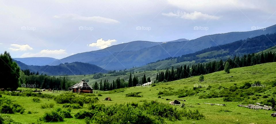 Uimon Valley.  Altai.  Mobile photo.