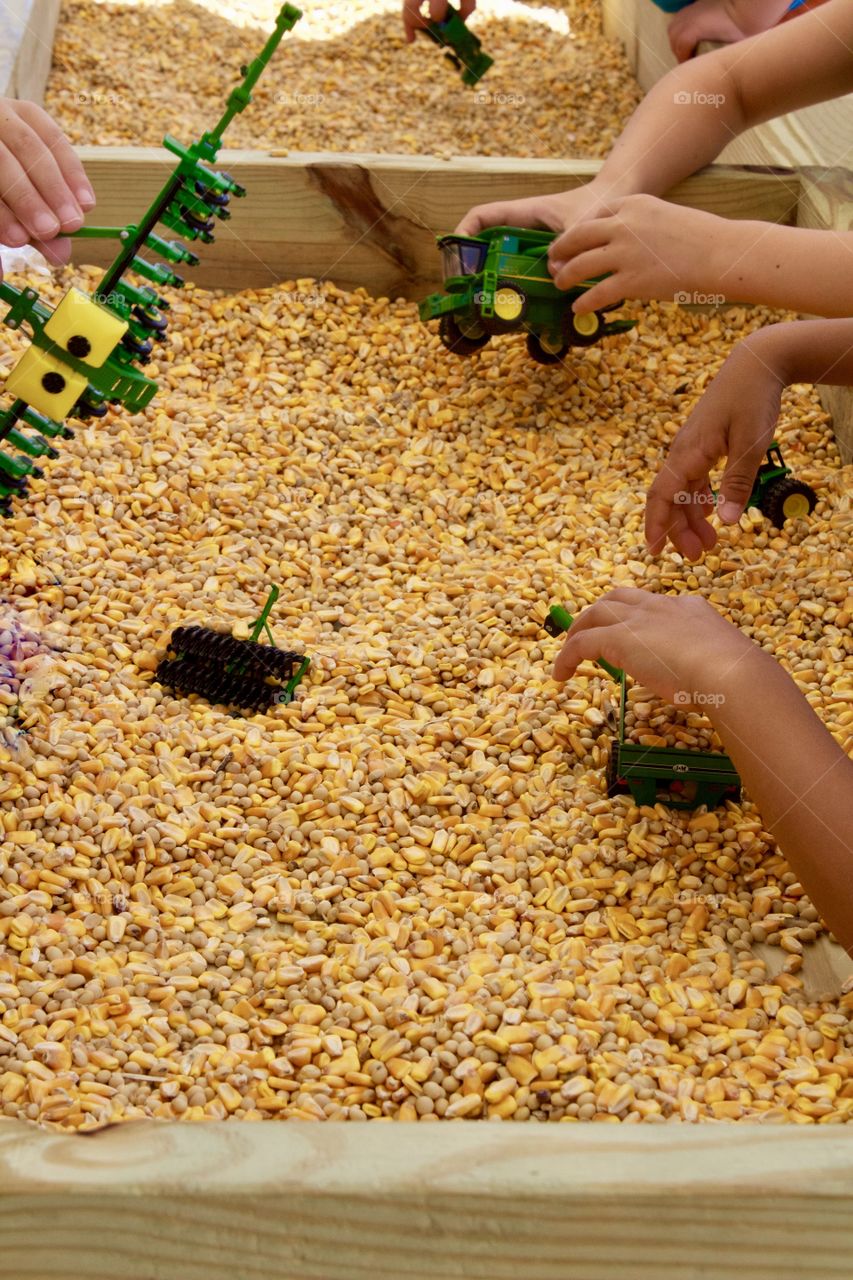 Isolated view of young boys’ hands as the play with toy green-and-yellow (John Deere) farm equipment in a bin of field corn