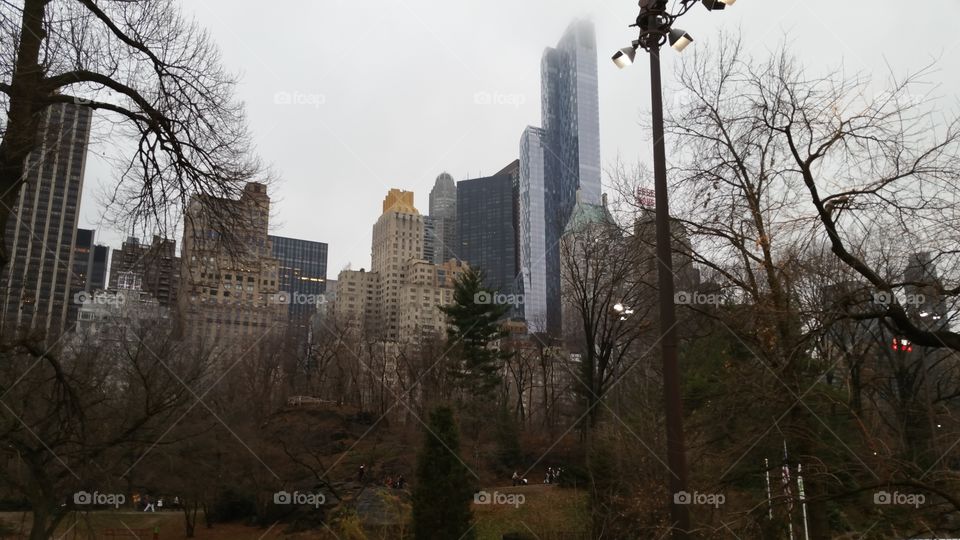 Manhattan from Central Park