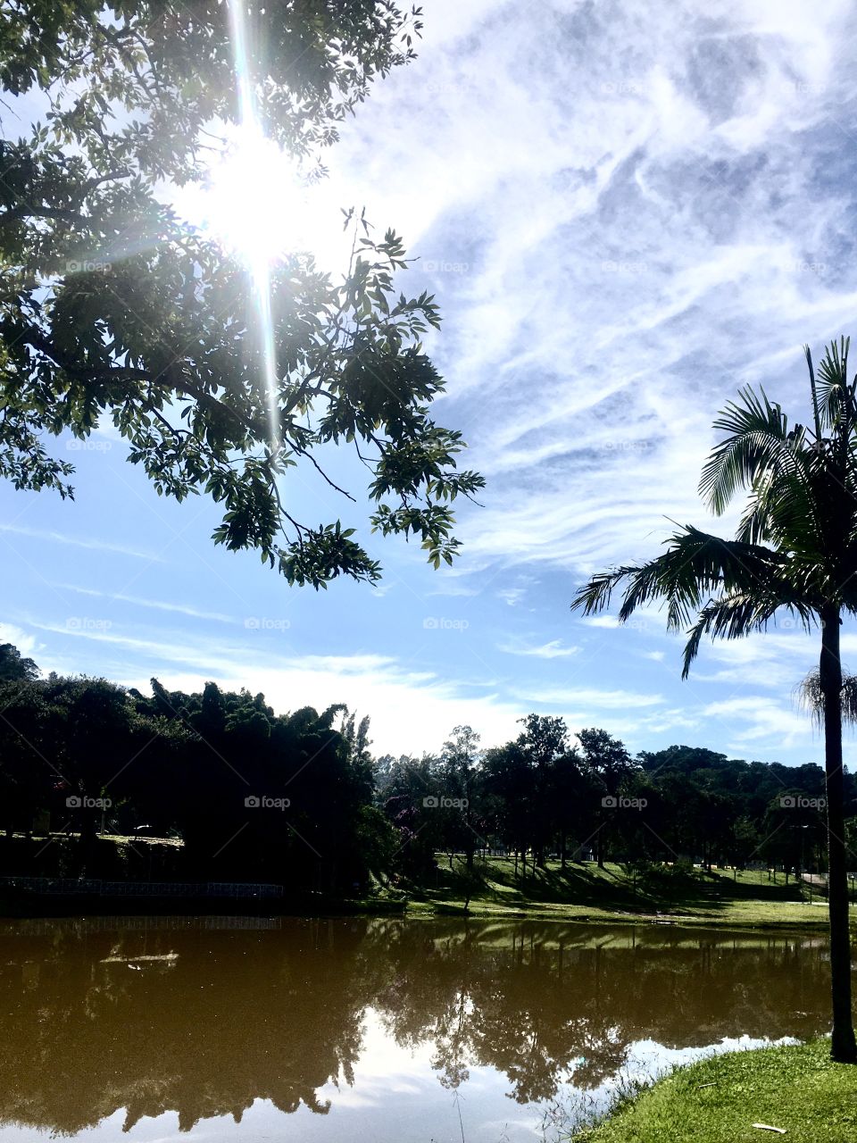 My perfect Sunday click: the water mirror of Lago do Taboão, at 8 am, in Bragança Paulista.  Cheer the nature! / Meu clique perfeito de domingo: o espelho d’água do Lago do Taboão, às 08h, em Bragança Paulista. Viva a natureza!