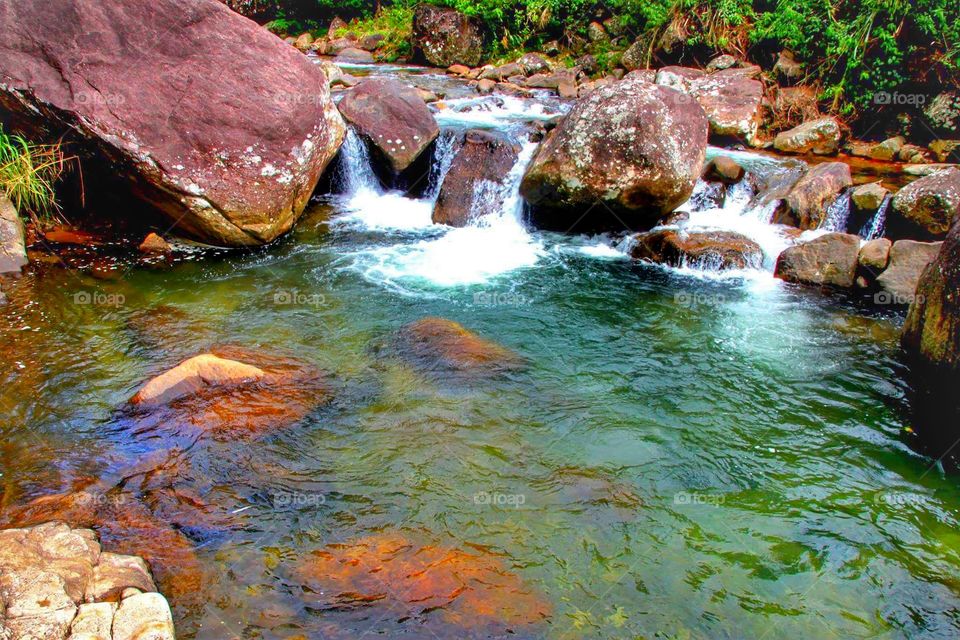 lovely sri lanka nature