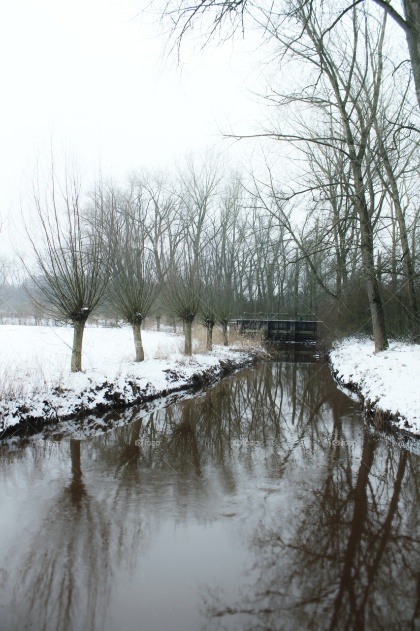 snow winter trees water by twilite